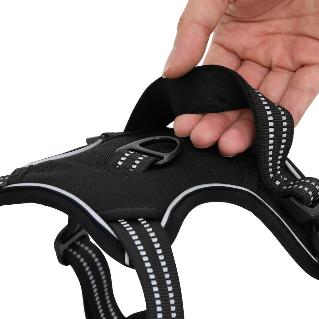 Harnais pour chien avec laisse et collier réglable noir M