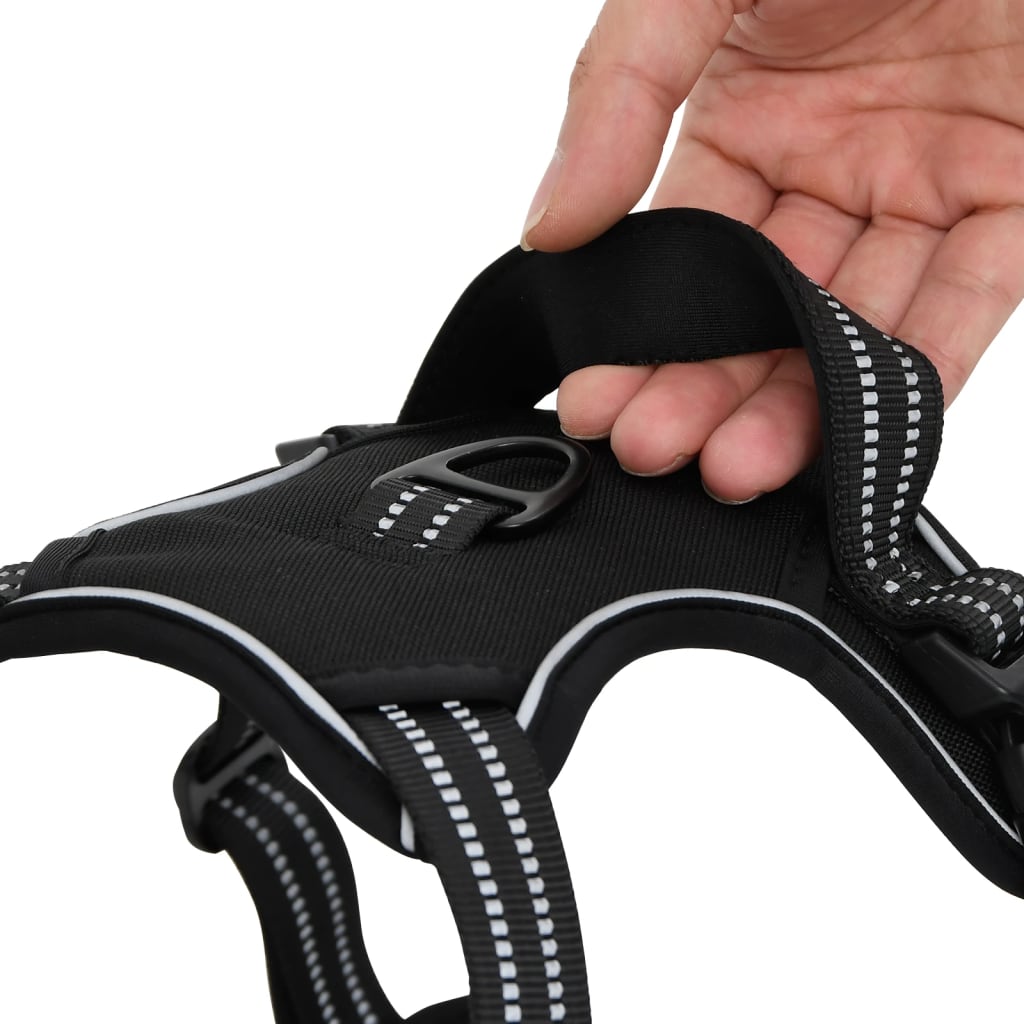 Dog Harness with Leash &amp; Collar Adjustable Black XL