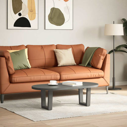 Couchtischbeine V-Form 2 Stück Anthrazit 40x(30-31,3) cm Stahl
