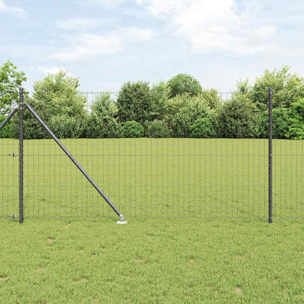 Schweißdrahtzaun mit Spikes 10 x 1 m (B x H)