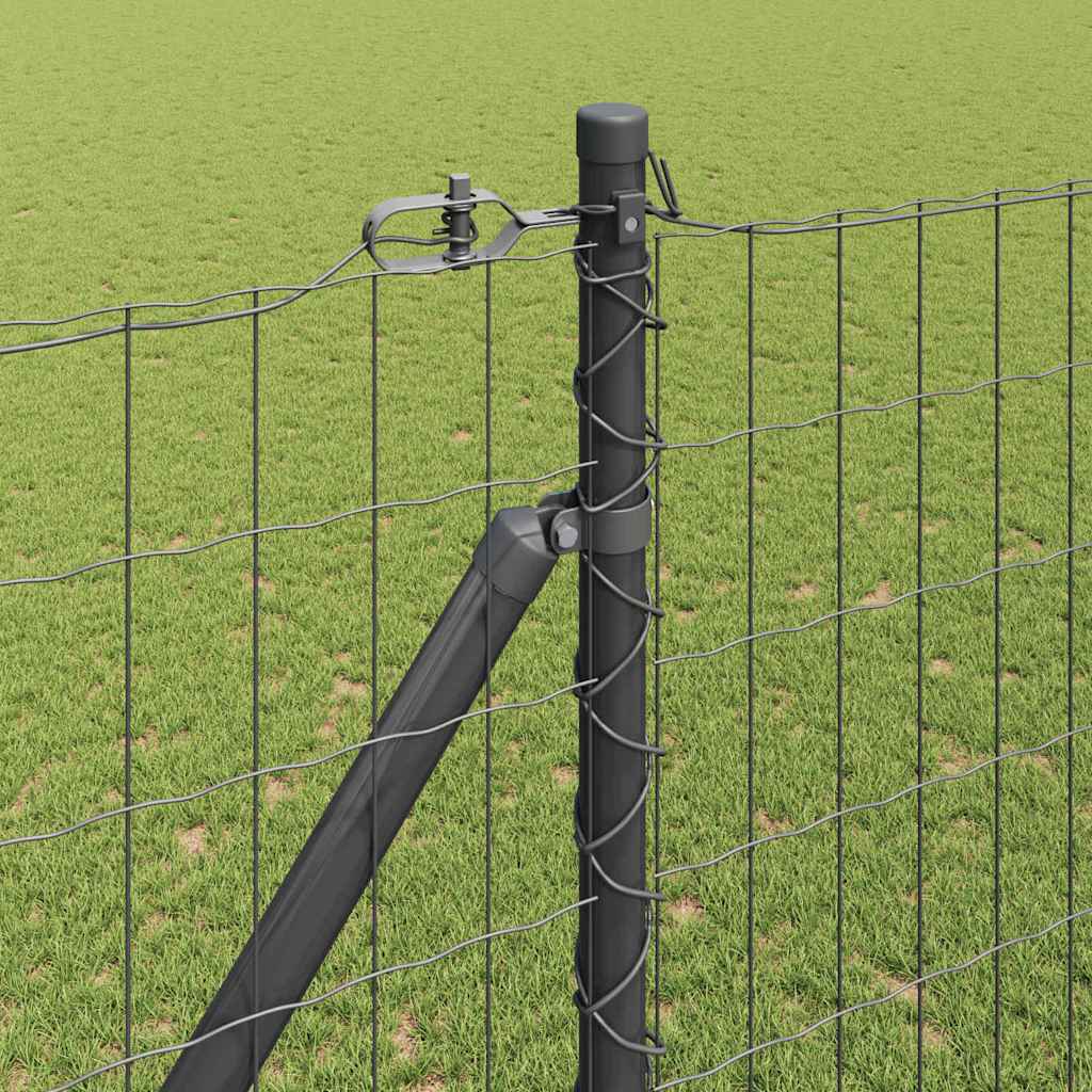 Schweißdrahtzaun mit Spikes 10 x 1,6 m (B x H)