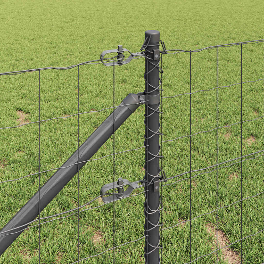 Schweißdrahtzaun mit Spikes 10 x 0,8 m (B x H)