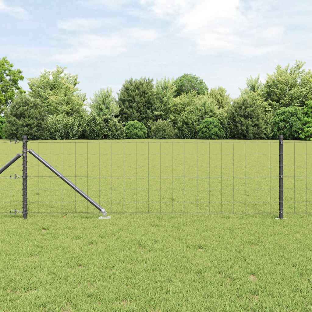 Schweißdrahtzaun mit Spikes 10 x 0,8 m (B x H)