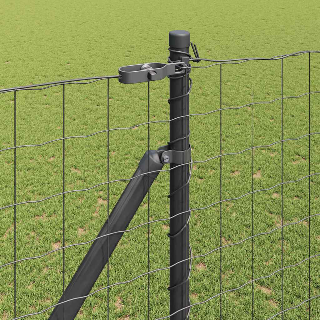Schweißdrahtzaun mit Spikes 10 x 1,6 m (B x H)