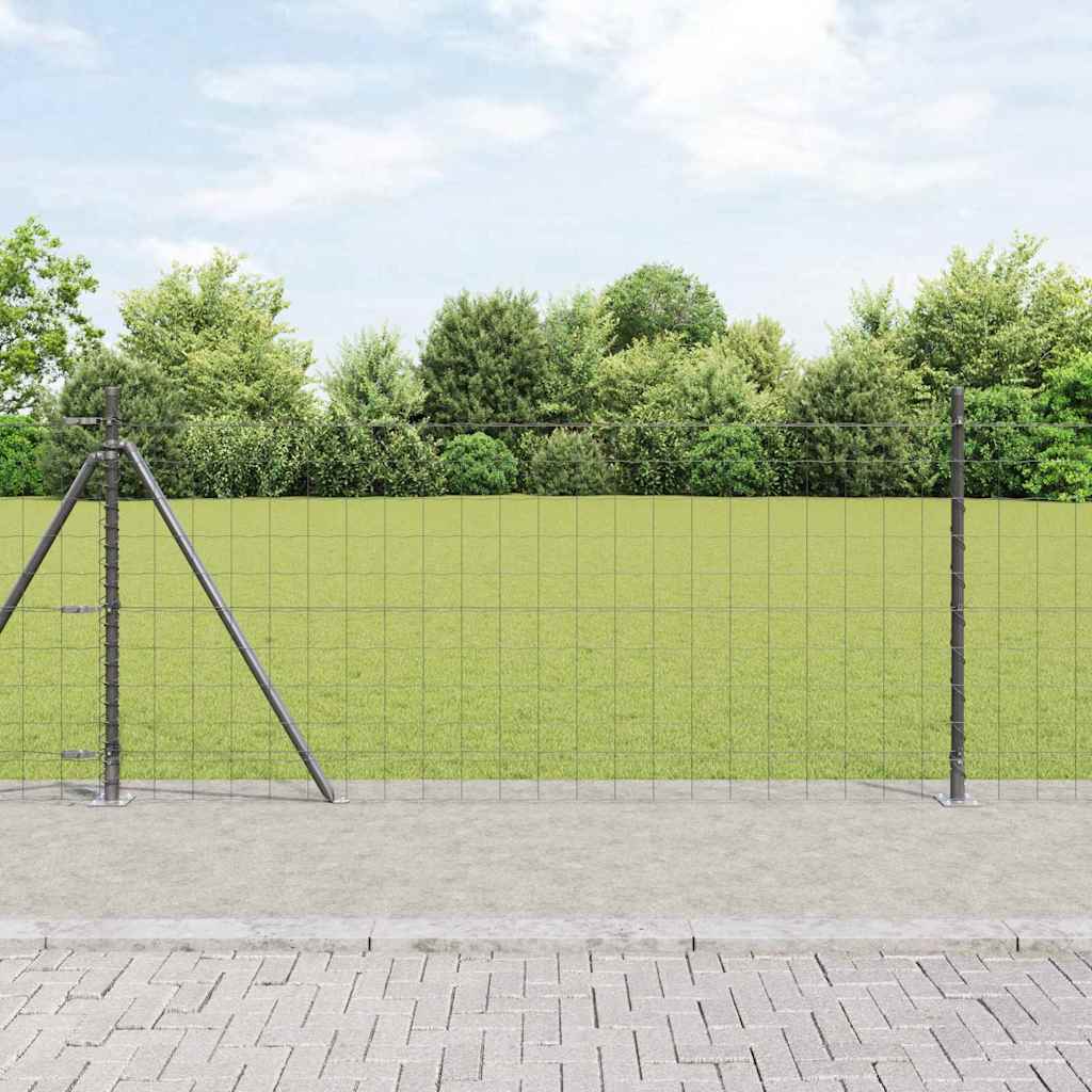 Euro-Zaun mit Betonsockel 25 x 1 m PVC-beschichteter Stahl Grau
