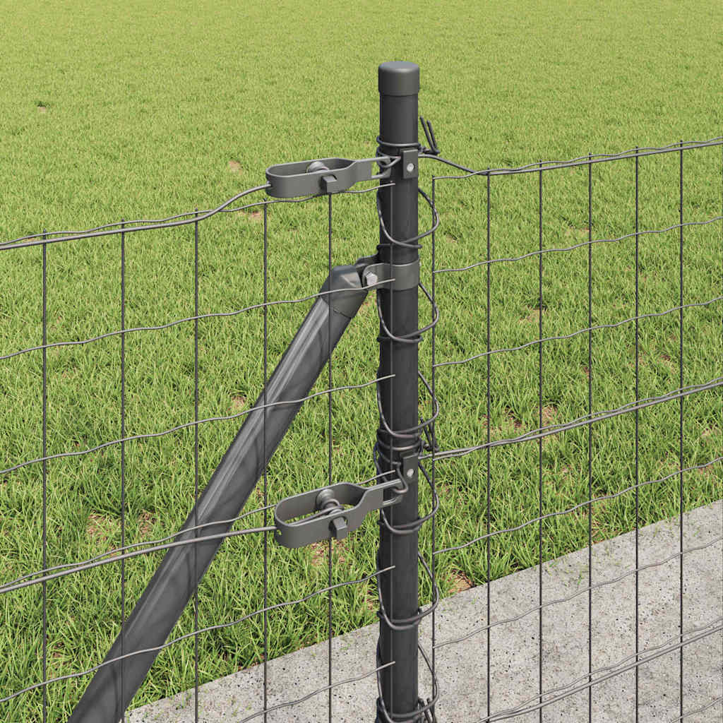 Euro-Zaun mit Betonsockel 50 x 0,4 m PVC-beschichteter Stahl
