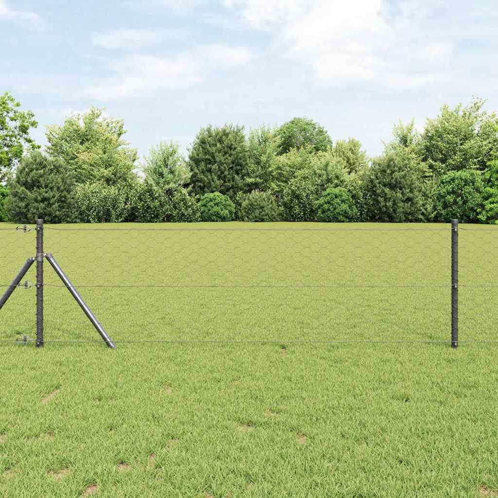 Ground Fix Geschweißter Drahtzaun 10 x 0,6 m (B x H)