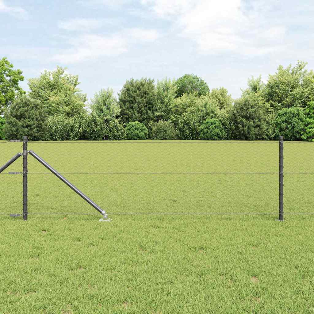 Schweißdrahtzaun mit Spikes 10 x 0,6 m (B x H)