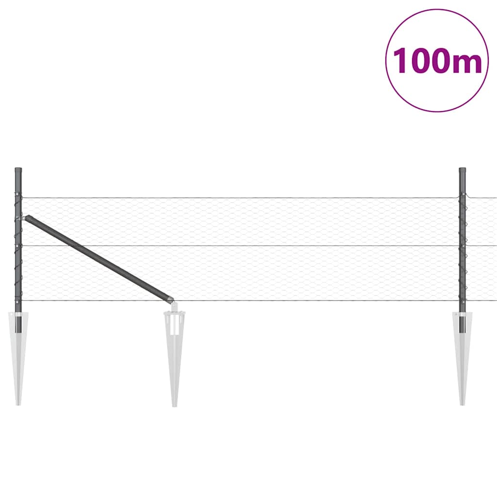 Schweißdrahtzaun mit Spikes 100 x 0,8 m (B x H)