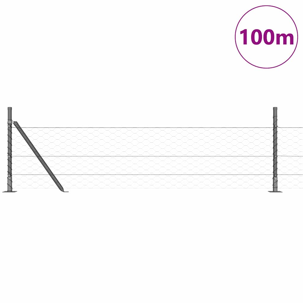 Geschweißter Drahtzaun mit Betonfundament 100 x 0,5 m (B x H)