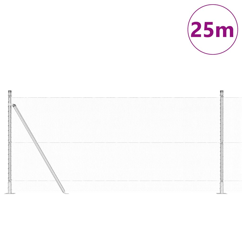 Geschweißter Drahtzaun mit Betonfundament 25 x 1 m (B x H)