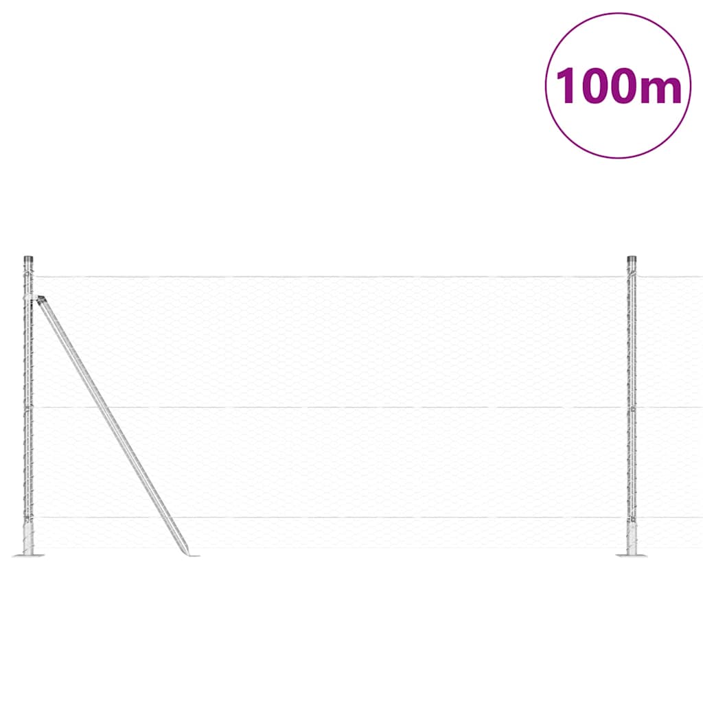 Geschweißter Drahtzaun mit Betonfundament 100 x 0,8 m (B x H)