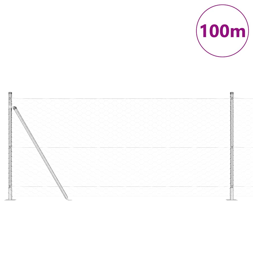 Geschweißter Drahtzaun mit Betonfundament 100 x 1 m (B x H)