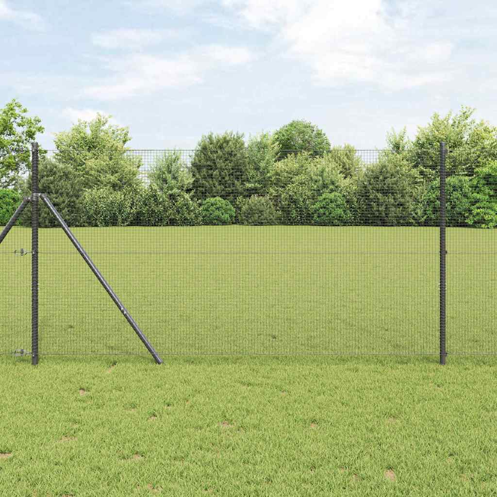 Geschweißter Drahtzaun, bodenverankert 50 x 1 m Grau Netz