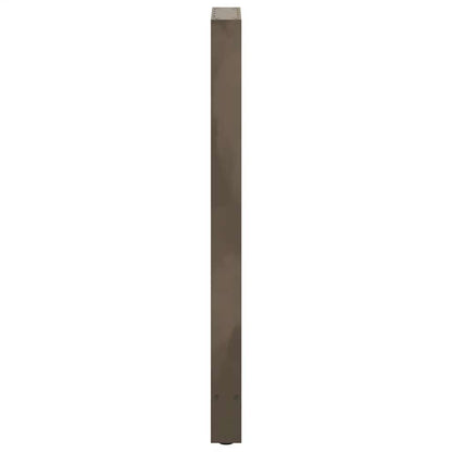 Bartischbeine Naturstahl 2 Stk. 50x(110-111) cm Stahl