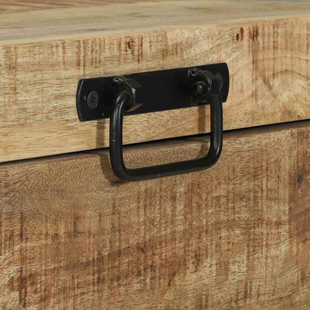 Aufbewahrungs-Truhen Braun 60 x 30 x 30 cm Massivholz Mango