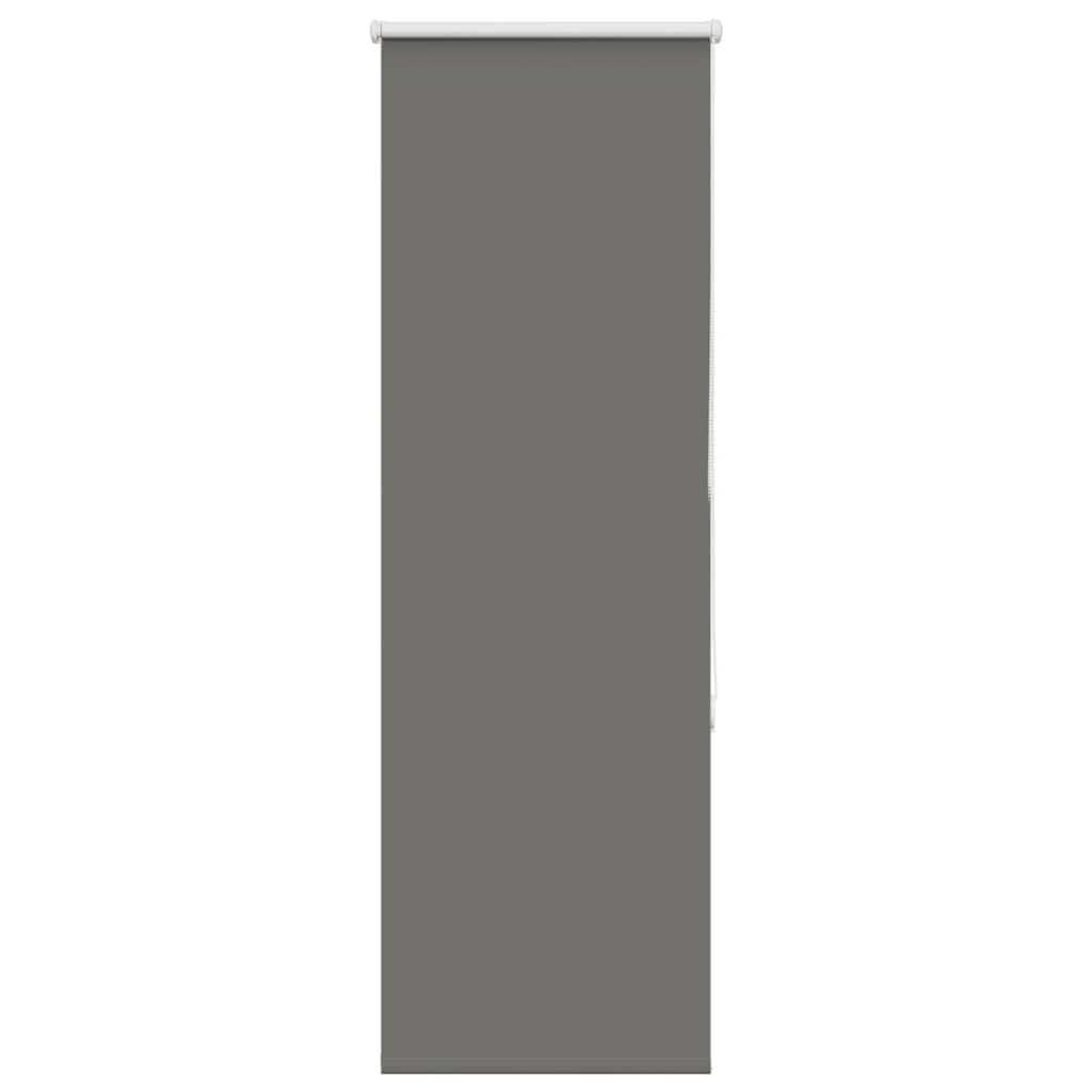 Verdunkelungsrollo Grau 55x150 cm Stoffbreite 50,7 cm Polyester