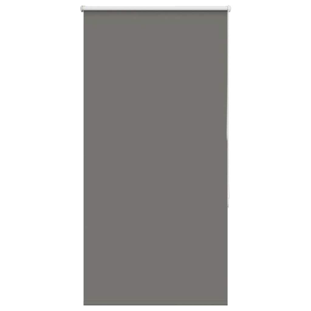 Verdunkelungsrollo Grau 75x150 cm Stoffbreite 70,7 cm Polyester