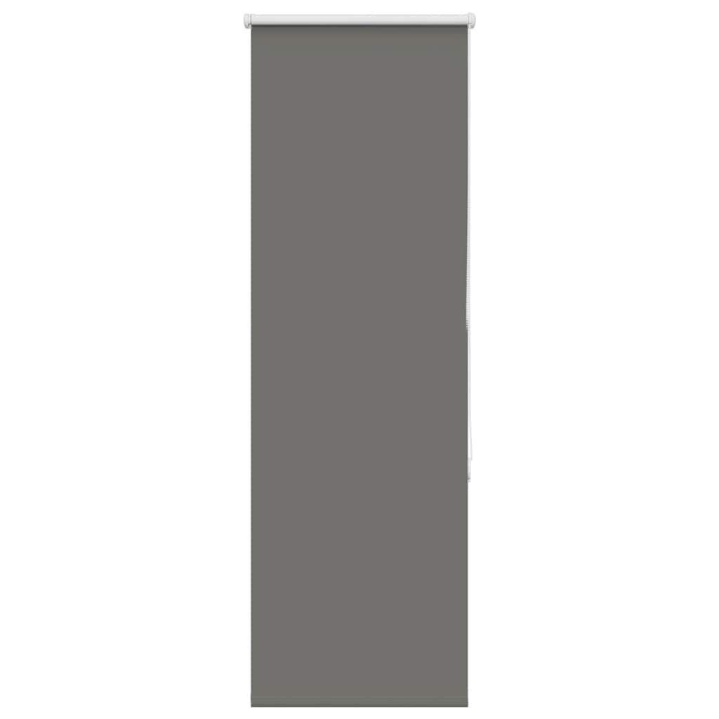 Verdunkelungsrollo Grau 60x175 cm Stoffbreite 55,7 cm Polyester