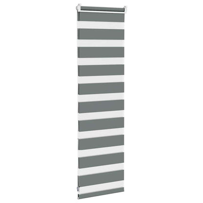 Doppelrollo Dunkelgrau 50x100 cm Stoffbreite 45,9 cm Polyester