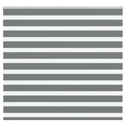 Doppelrollo Dunkelgrau 155x100 cm Stoffbreite 150,9 cm Polyester