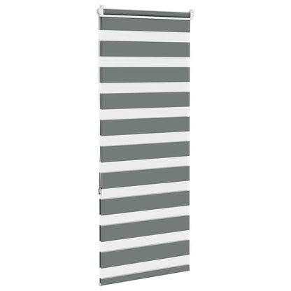 Doppelrollo Dunkelgrau 55x150 cm Stoffbreite 50,9 cm Polyester