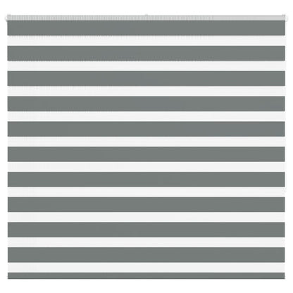 Doppelrollo Dunkelgrau 165x150 cm Stoffbreite 160,9 cm Polyester