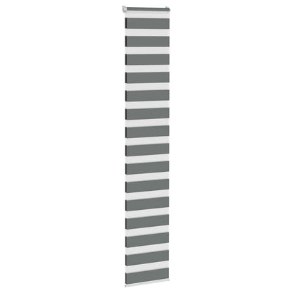 Doppelrollo Dunkelgrau 40x200 cm Stoffbreite 35,9 cm Polyester