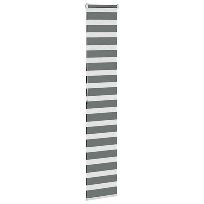 Doppelrollo Dunkelgrau 50x200 cm Stoffbreite 45,9 cm Polyester