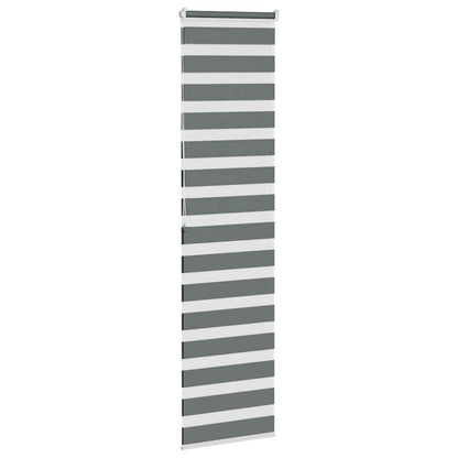 Doppelrollo Dunkelgrau 55x200 cm Stoffbreite 50,9 cm Polyester