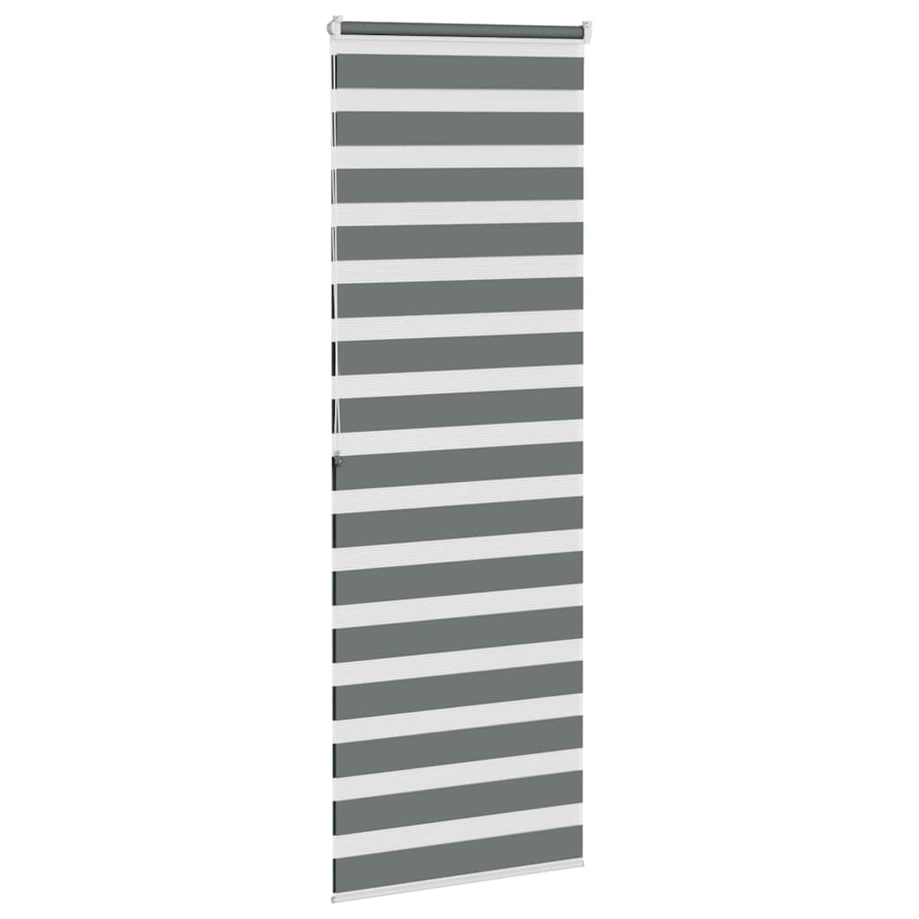 Doppelrollo Dunkelgrau 75x200 cm Stoffbreite 70,9 cm Polyester