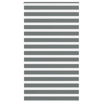 Doppelrollo Dunkelgrau 135x200 cm Stoffbreite 130,9 cm Polyester