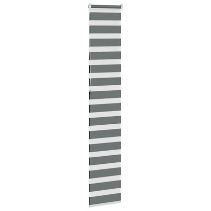 Doppelrollo Dunkelgrau 40x230 cm Stoffbreite 35,9 cm Polyester