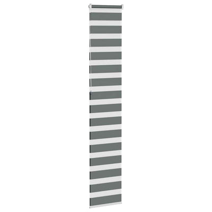Doppelrollo Dunkelgrau 50x230 cm Stoffbreite 45,9 cm Polyester
