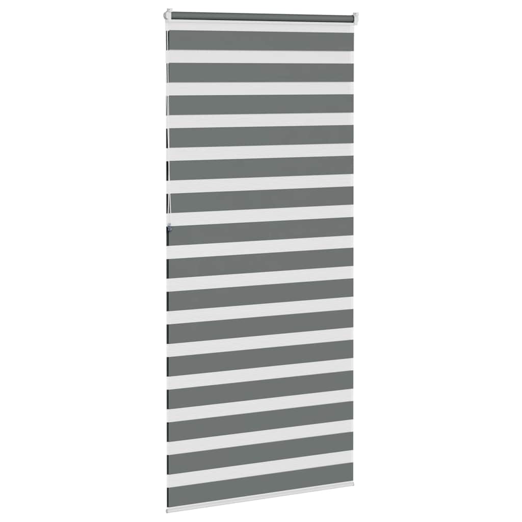 Doppelrollo Dunkelgrau 115x230 cm Stoffbreite 110,9 cm Polyester