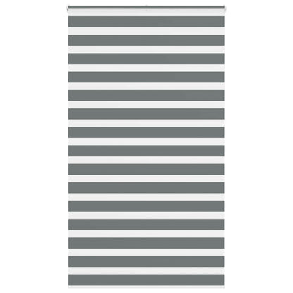 Doppelrollo Dunkelgrau 125x230 cm Stoffbreite 120,9 cm Polyester