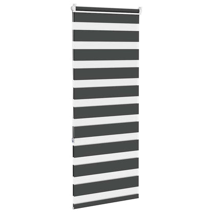 Doppelrollo Schwarz 55x150 cm Stoffbreite 50,9 cm Polyester