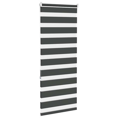 Doppelrollo Schwarz 60x150 cm Stoffbreite 55,9 cm Polyester