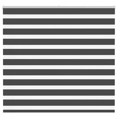 Doppelrollo Schwarz 160x150 cm Stoffbreite 155,9 cm Polyester