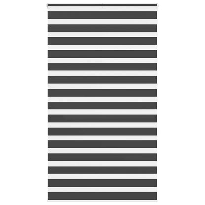 Doppelrollo Schwarz 120x200 cm Stoffbreite 115,9 cm Polyester