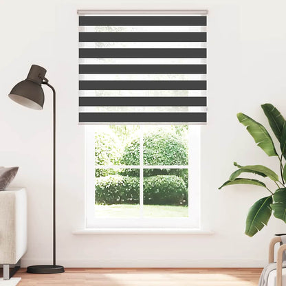 Doppelrollo Schwarz 120x200 cm Stoffbreite 115,9 cm Polyester