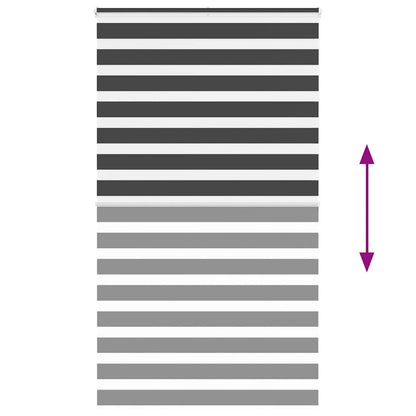 Doppelrollo Schwarz 125x200 cm Stoffbreite 120,9 cm Polyester