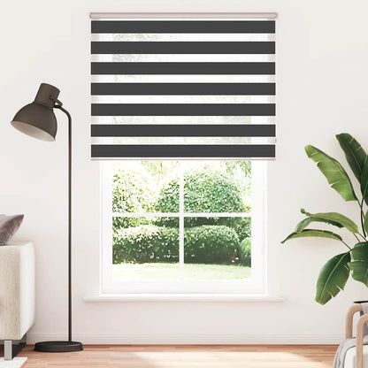 Doppelrollo Schwarz 150x200 cm Stoffbreite 145,9 cm Polyester