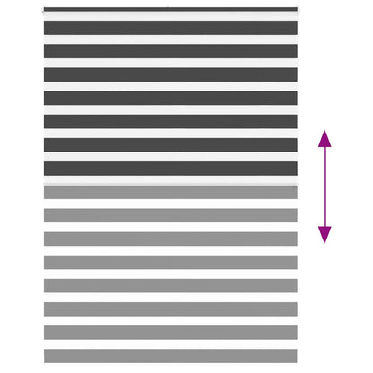 Doppelrollo Schwarz 155x200 cm Stoffbreite 150,9 cm Polyester