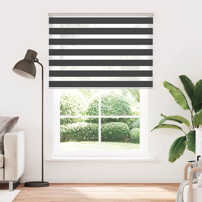 Doppelrollo Schwarz 165x200 cm Stoffbreite 160,9 cm Polyester