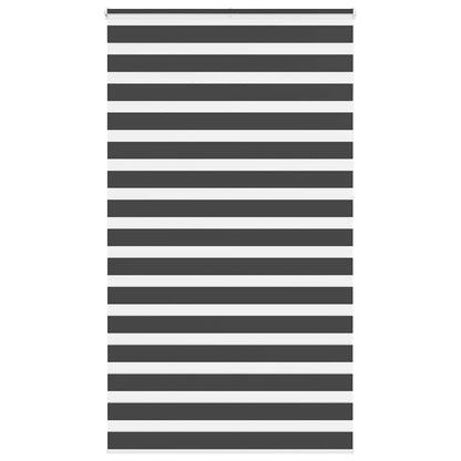 Doppelrollo Schwarz 120x230 cm Stoffbreite 115,9 cm Polyester