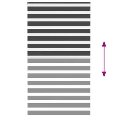 Doppelrollo Schwarz 120x230 cm Stoffbreite 115,9 cm Polyester