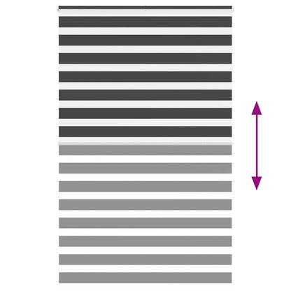Doppelrollo Schwarz 140x230 cm Stoffbreite 135,9 cm Polyester