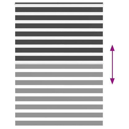 Doppelrollo Schwarz 155x230 cm Stoffbreite 150,9 cm Polyester