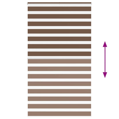 Doppelrollo Braun 125x200 cm Stoffbreite 120,9 cm Polyester